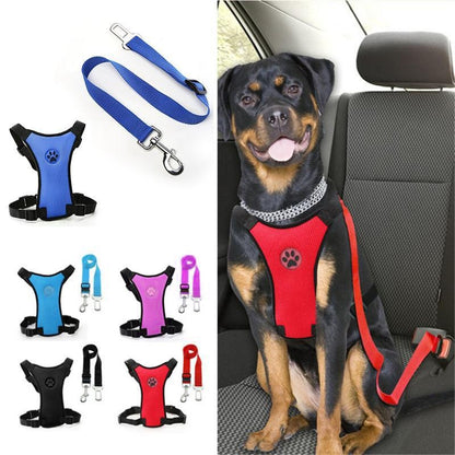 Skorter | Dog Safety Harness Set