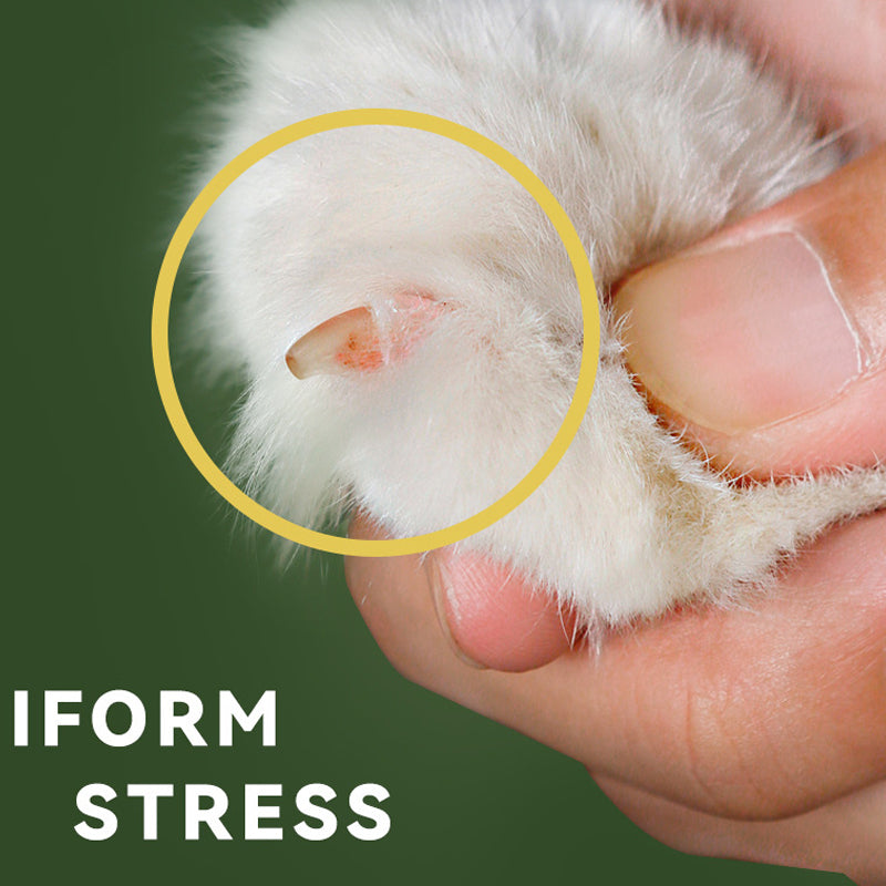 Skorter | Effortless Pet Nail Clipper