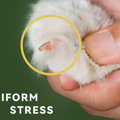 Skorter | Effortless Pet Nail Clipper