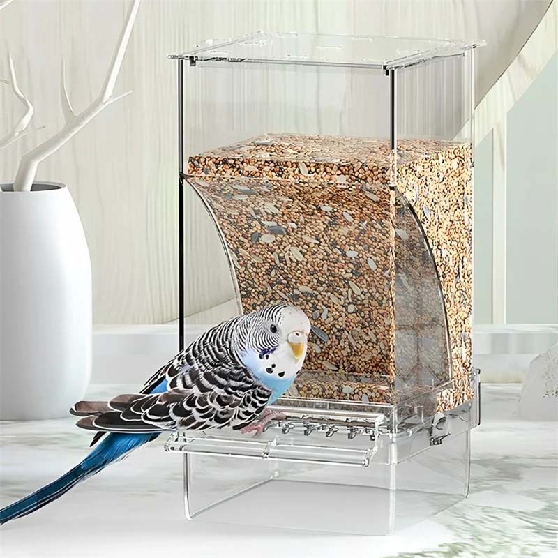 Skorter | Automatic transparent bird feeder without spills