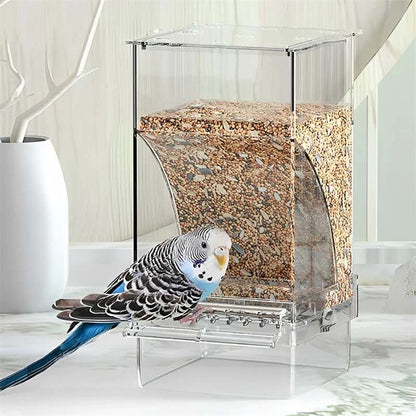Skorter | Automatic transparent bird feeder without spills
