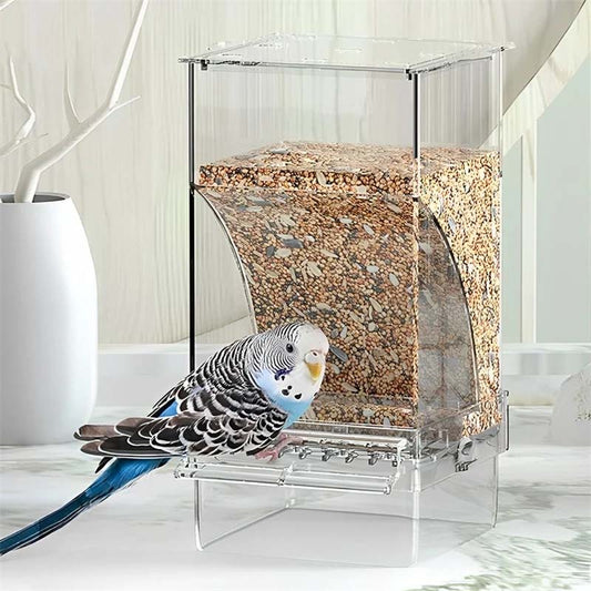 Skorter | Automatic transparent bird feeder without spills