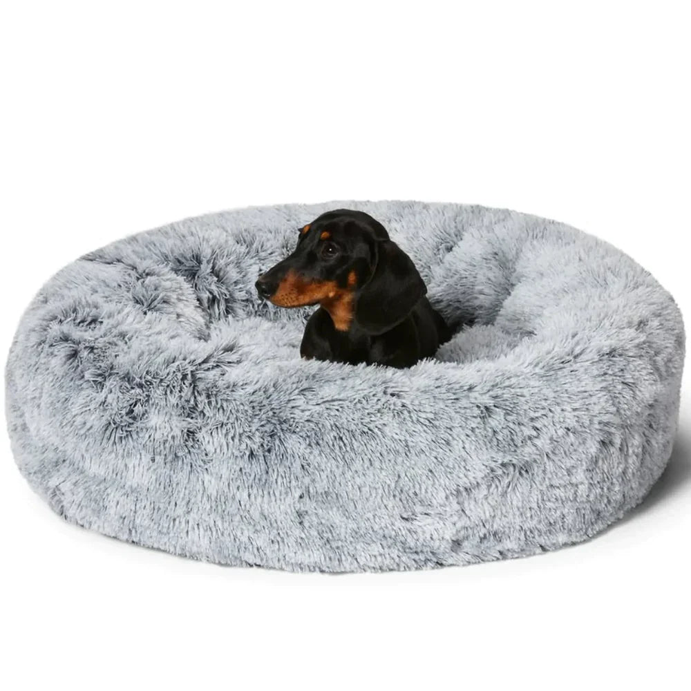 Skorter | Calming Dog Bed