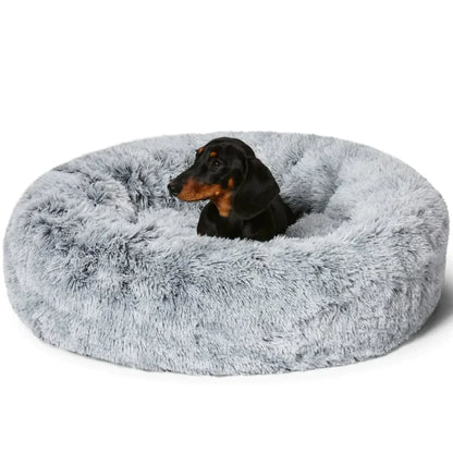 Skorter | Calming Dog Bed