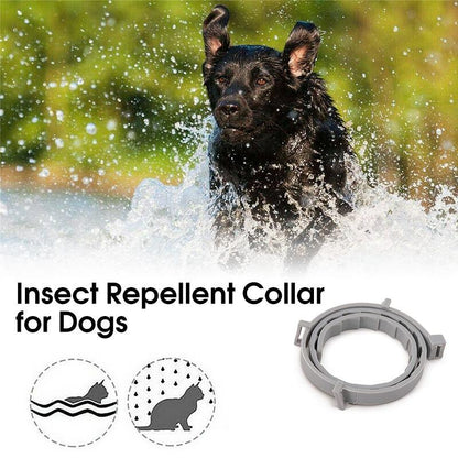 Skorter | Adjustable Insect Defense Collar for Pets