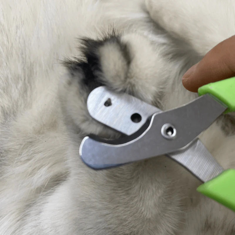 Skorter | Effortless Pet Nail Clipper