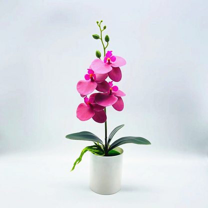 Skorter | Artificial Orchid Flower – Decorative Artificial Plant for Living Room and Table Decoration