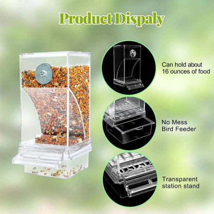 Skorter | Automatic transparent bird feeder without spills
