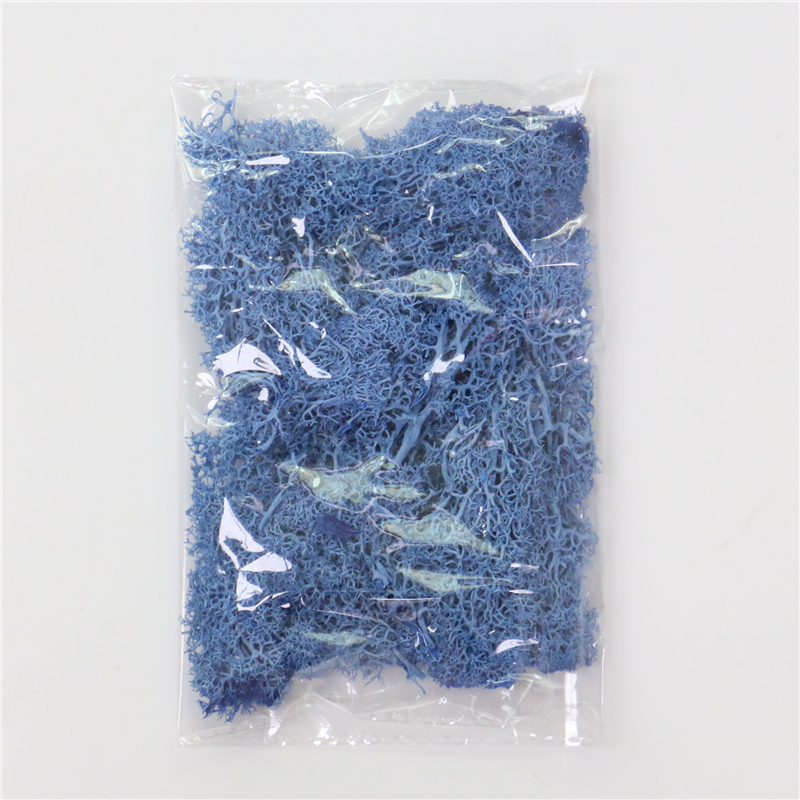 Skorter | Artificial Moss for Landscaping – Moss and Flowers for Decoration and Floristry