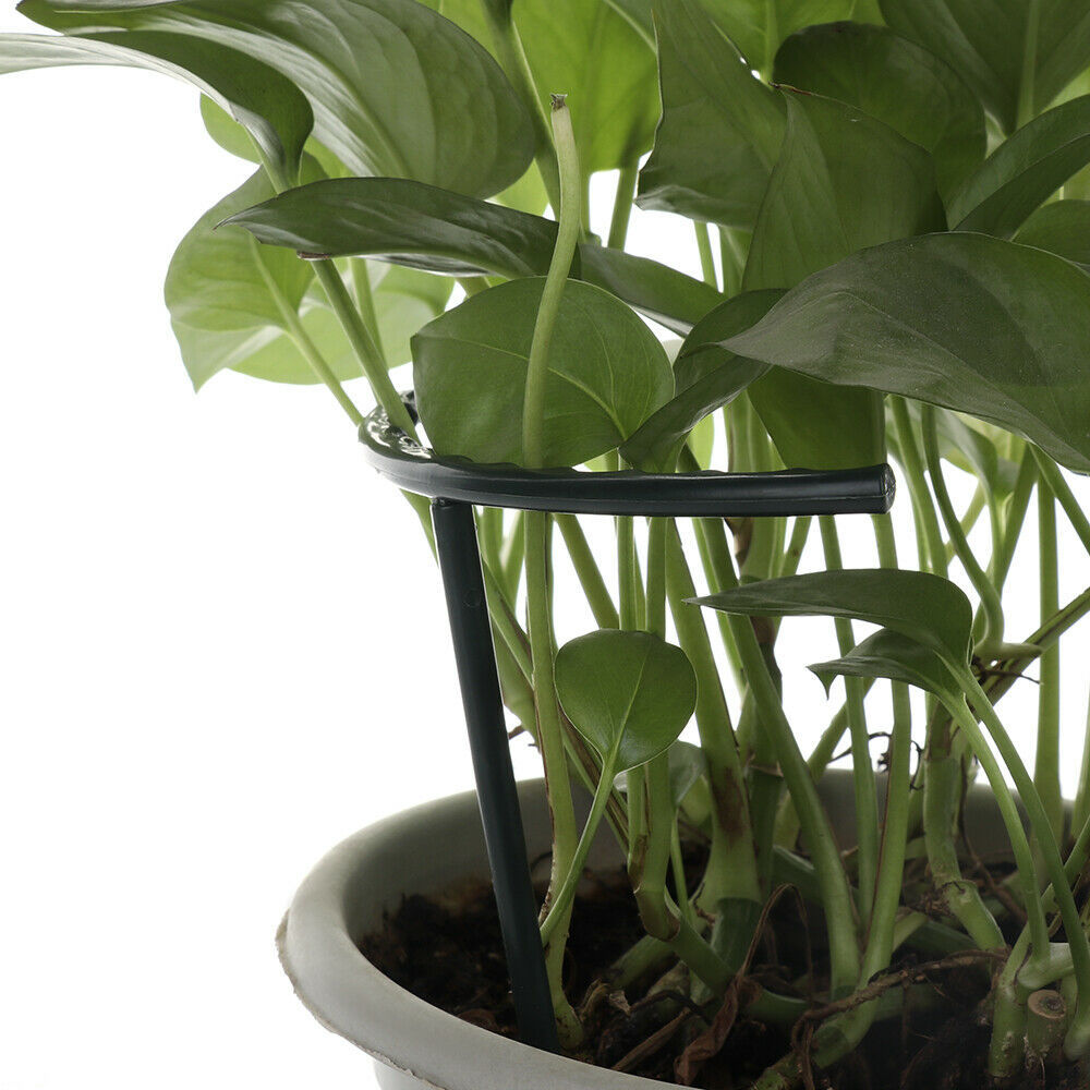 Skorter | Climbing support for plants – Robust holder with cage design for growth and stability