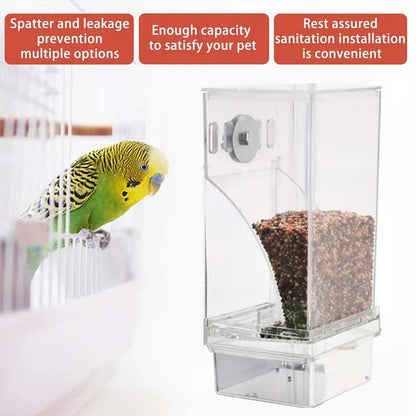Skorter | Automatic transparent bird feeder without spills