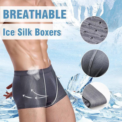 Skorter | Men's Fashion New Ice Silk Model Underwear