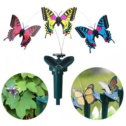Skorter | Solar-powered dancing hummingbird and butterfly