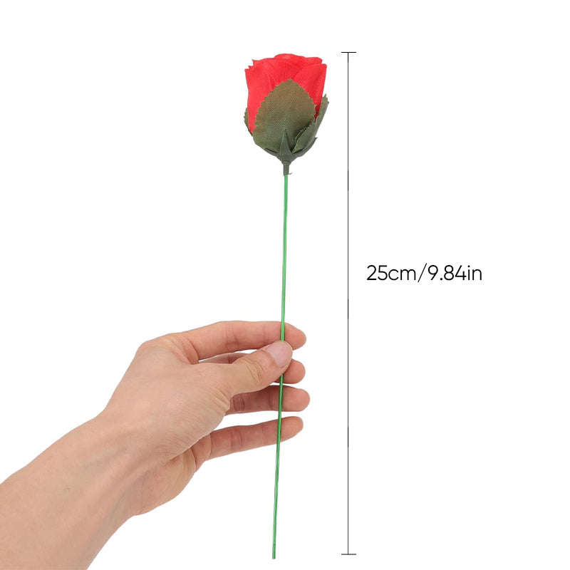 Skorter | Fire Magic Trick Flame