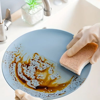 Skorter | Coconut Fiber Natural Dish Sponge