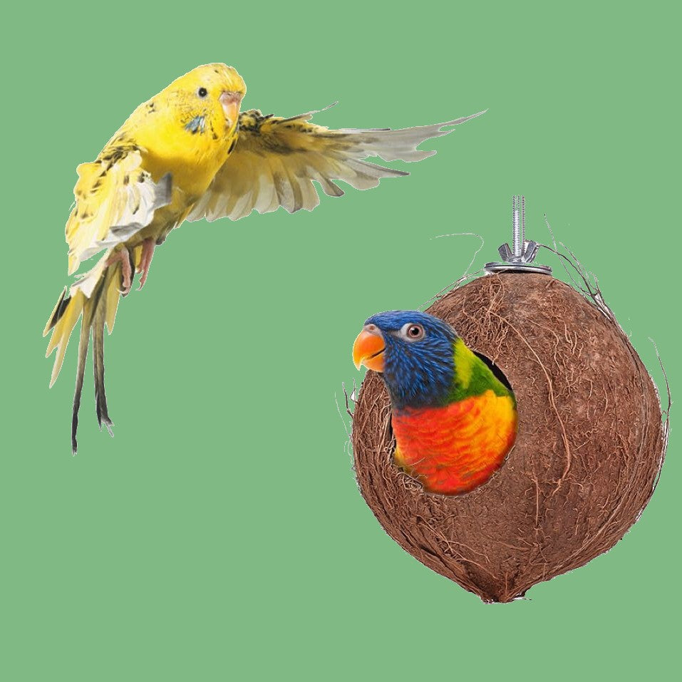 Skorter | Coconut Shell Bird Nest with Wood Ladders, for Parrot, Budgies, Parakeet, Canary, Finch, Hamster, Rat