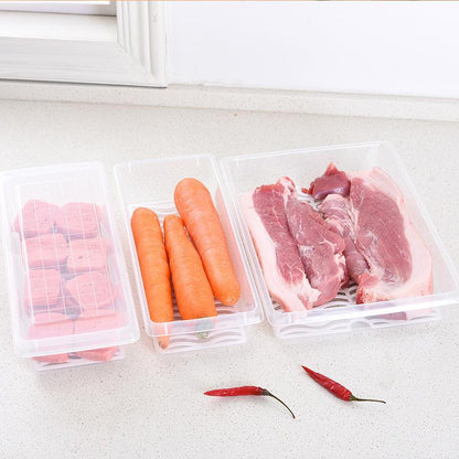 Skorter | Food Storage Box