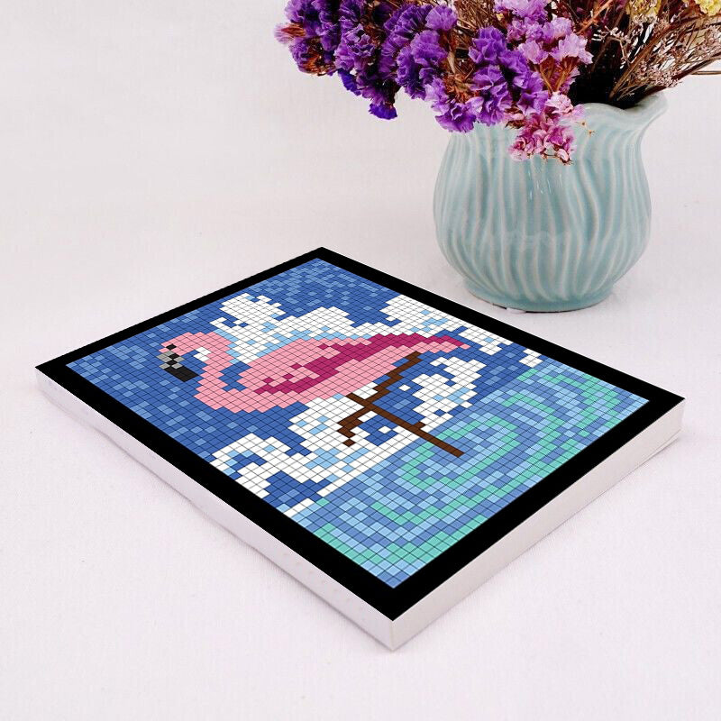 Skorter | 100 QUEST Color