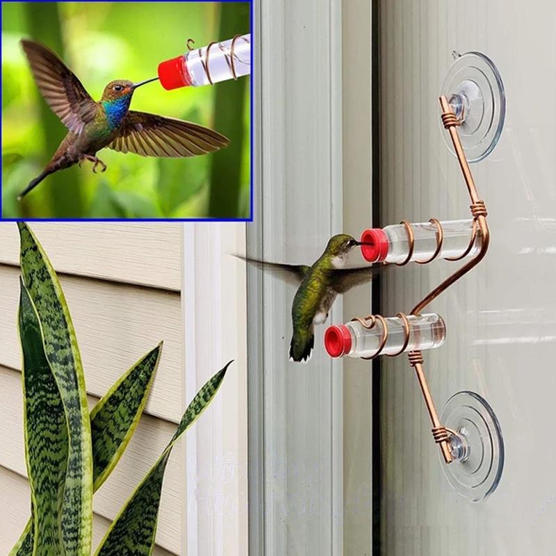 Skorter | Window Hummingbird Feeder