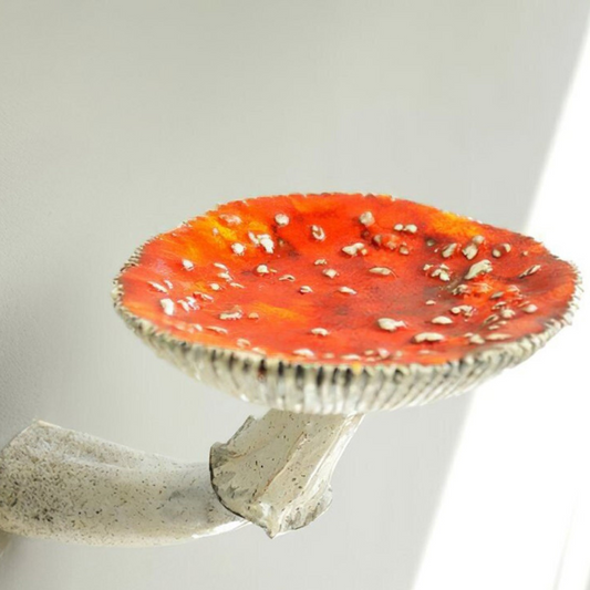 Skorter | Floating Mushroom Shelf