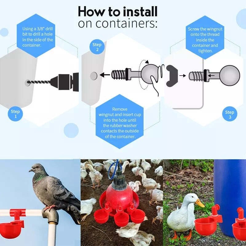 Skorter | Automatic Chicken Water Cup Bird Coop