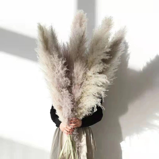 Skorter | FeatherFawn - Dried Pampas Flowers