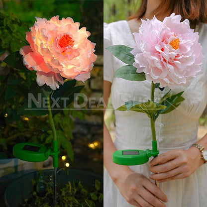 Skorter | 2 pcs - Solar-powered LED Pink Peony Stake Light