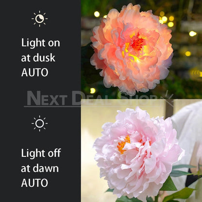 Skorter | 2 pcs - Solar-powered LED Pink Peony Stake Light