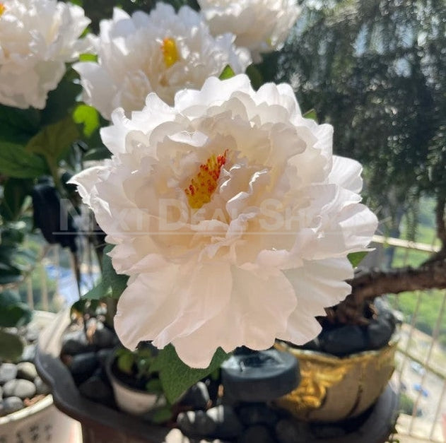 Skorter | 2 Pcs - Solar Powered LED Yellow Peony Stake Light