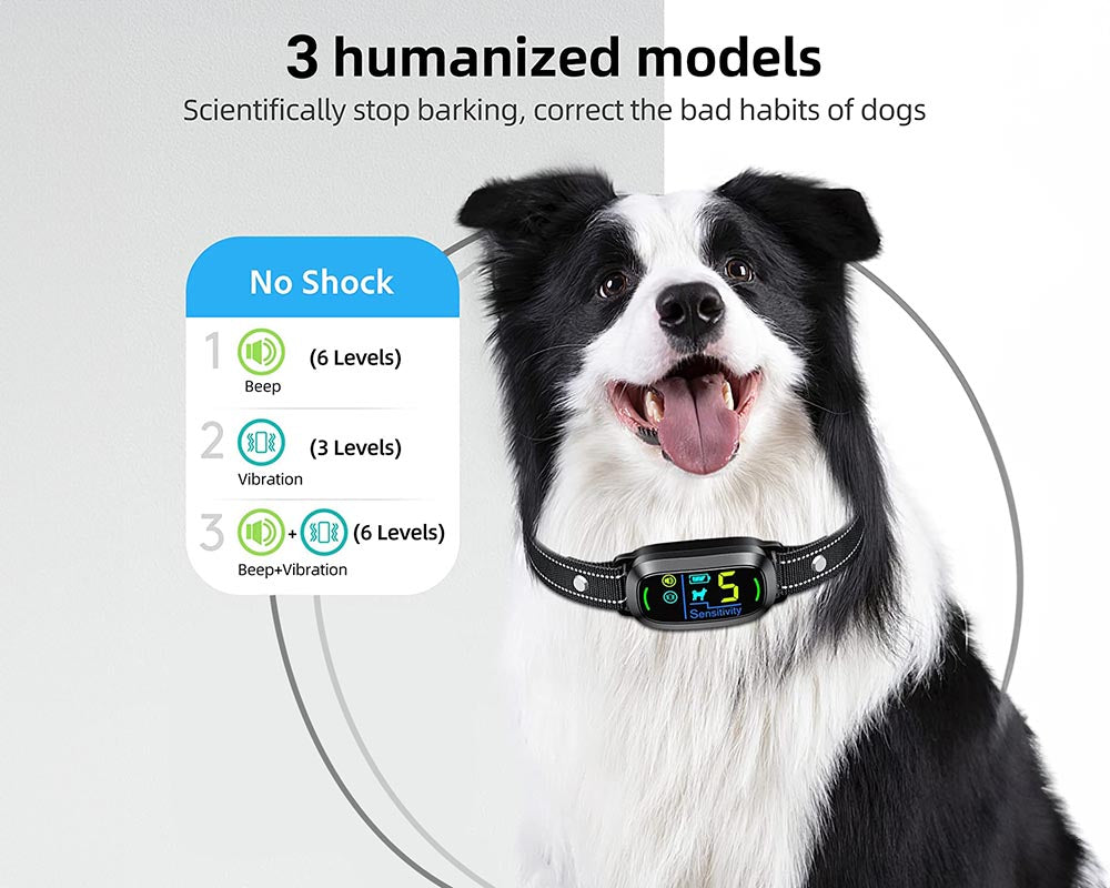 Skorter | Smart Barking Collar