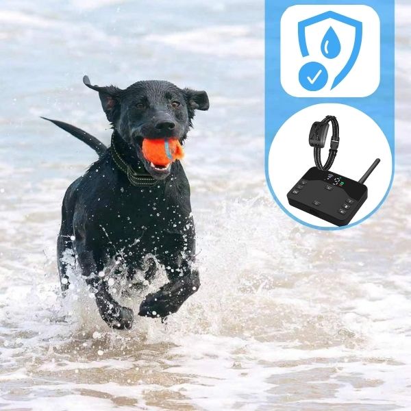 Skorter | 2-in-1 Wireless Pet Training Collars and Dog Fence Sound Check Electric and Vibrating Shock Dog Collar Fence From 65 to 1640 Feet
