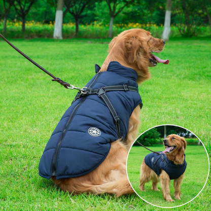 Skorter | All-Weather Dog Jacket