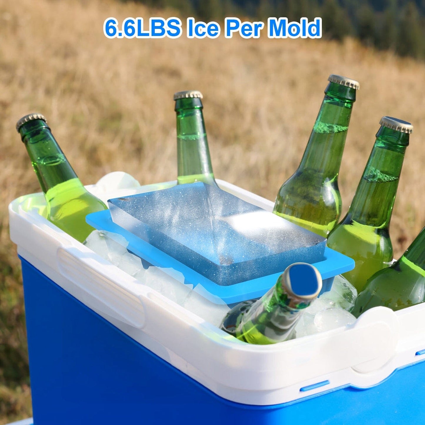 Skorter | 2-Pack: 6.6 lbs. Silicone-free Freezer Box Ice Blocks