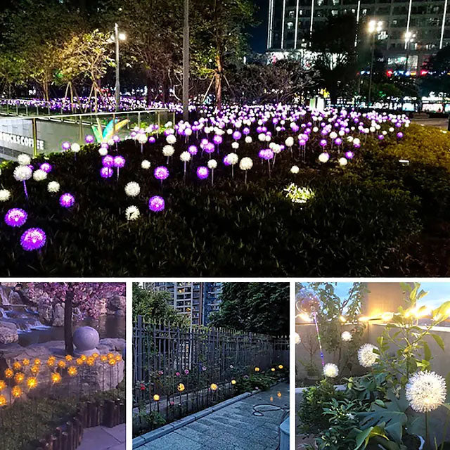 Skorter | 2-Pack: Outdoor Sun Dandelion Grass Light