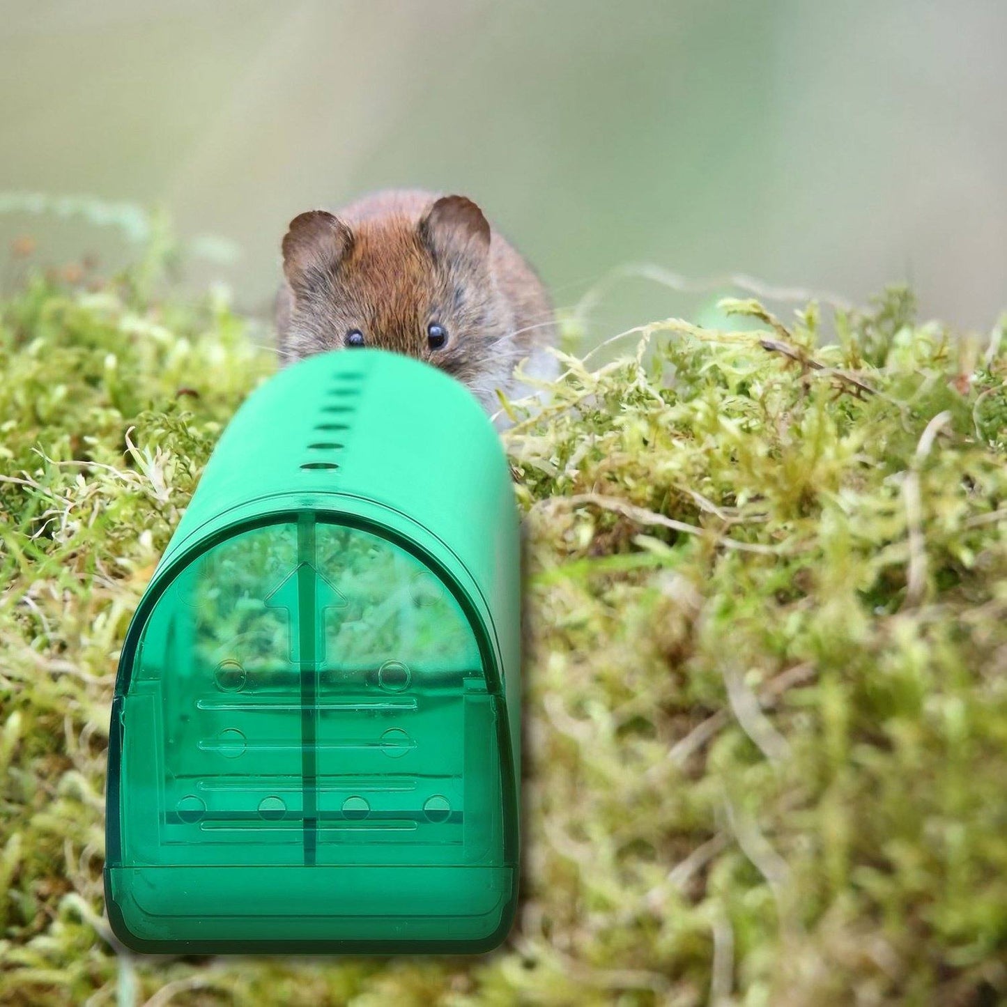 Skorter | 2-piece: Reusable Humane Mouse Trap