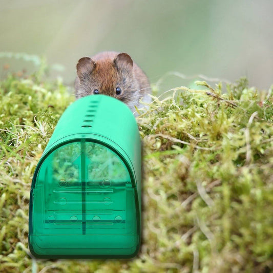 Skorter | 2-piece: Reusable Humane Mouse Trap