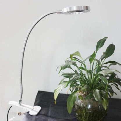 Skorter | Creative simple USB pants button LED reading clip desk lamp