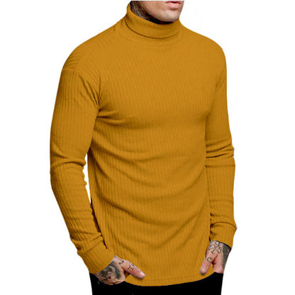 Men's stylish turtleneck sweater Skorter