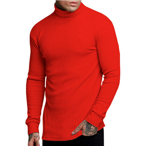 Men's stylish turtleneck sweater Skorter