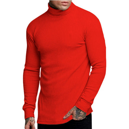 Men's stylish turtleneck sweater Skorter