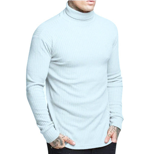 Men's stylish turtleneck sweater Skorter
