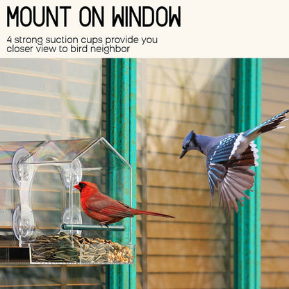 Skorter | Bird feeder in the window for outdoor use