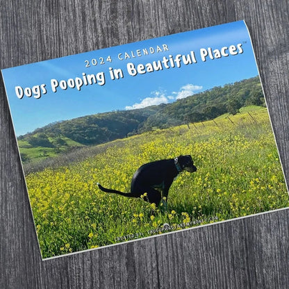 skorter | 2024 Funniest Calendar-Dogs Pooping In Beautiful Places | "Artistic Expression" Furry Friends
