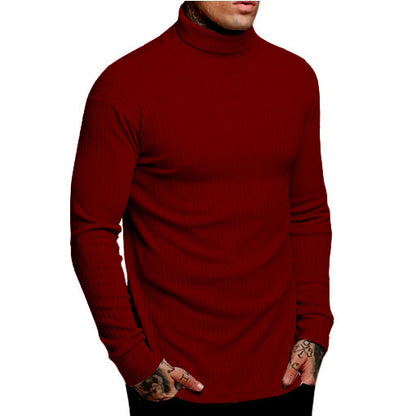 Men's stylish turtleneck sweater Skorter