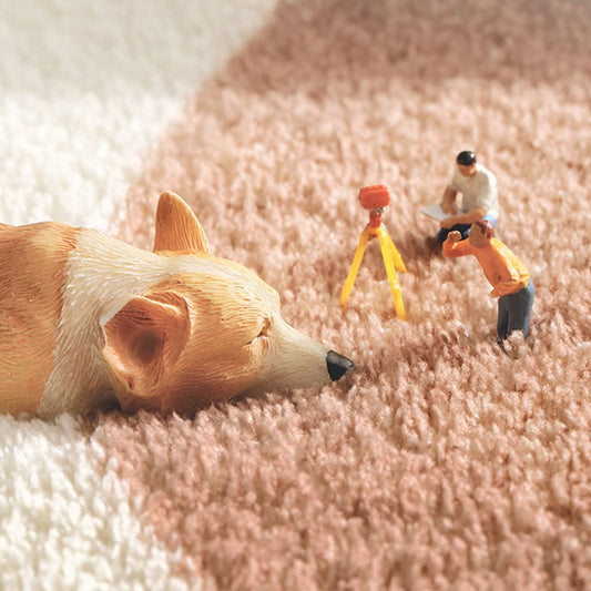 Skorter | Comfort Geometric Pattern Carpet Multicolor Acrylic Carpet Non-Slip Back Washable Carpet for Home