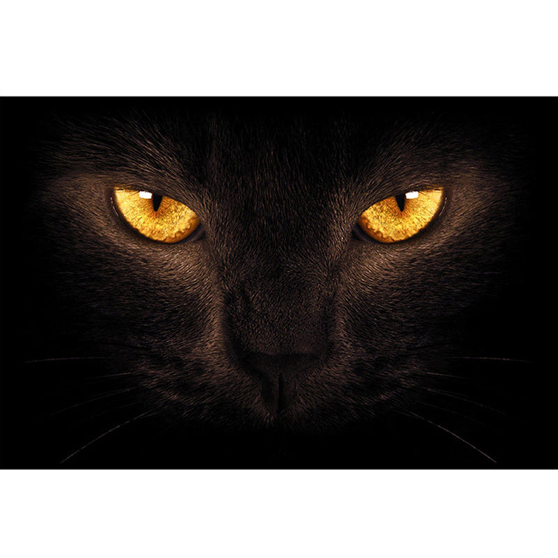 Skorter | Colorful Relaxation Area Rug Cotton Blend Cartoon Pattern Indoor Rug Machine Washable Non-Slip Rug for Décor