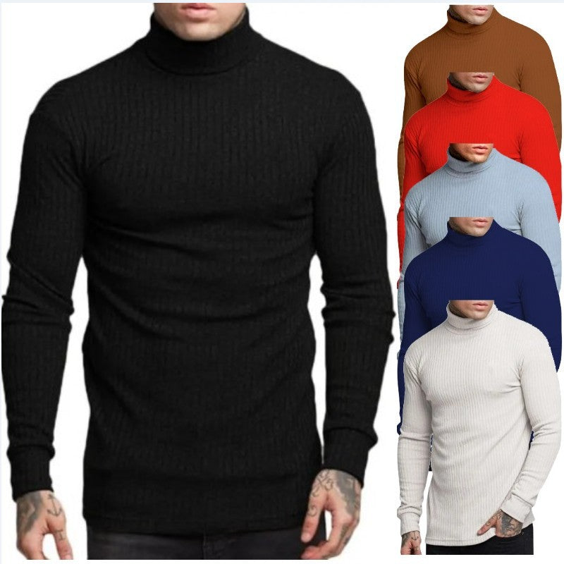 Men's stylish turtleneck sweater Skorter
