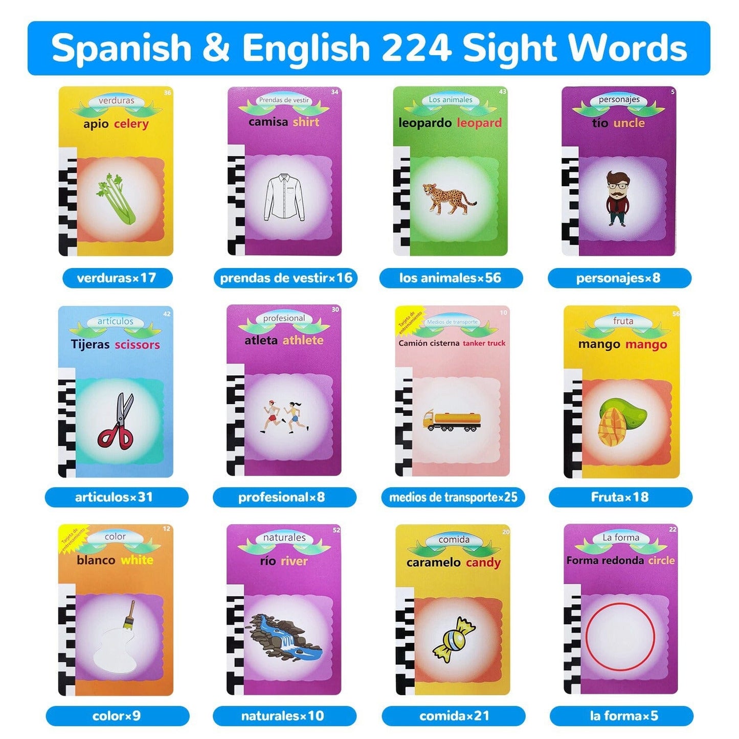 Skorter | 224 Synonyms Spanish and English Bilingual Talking Flashcards