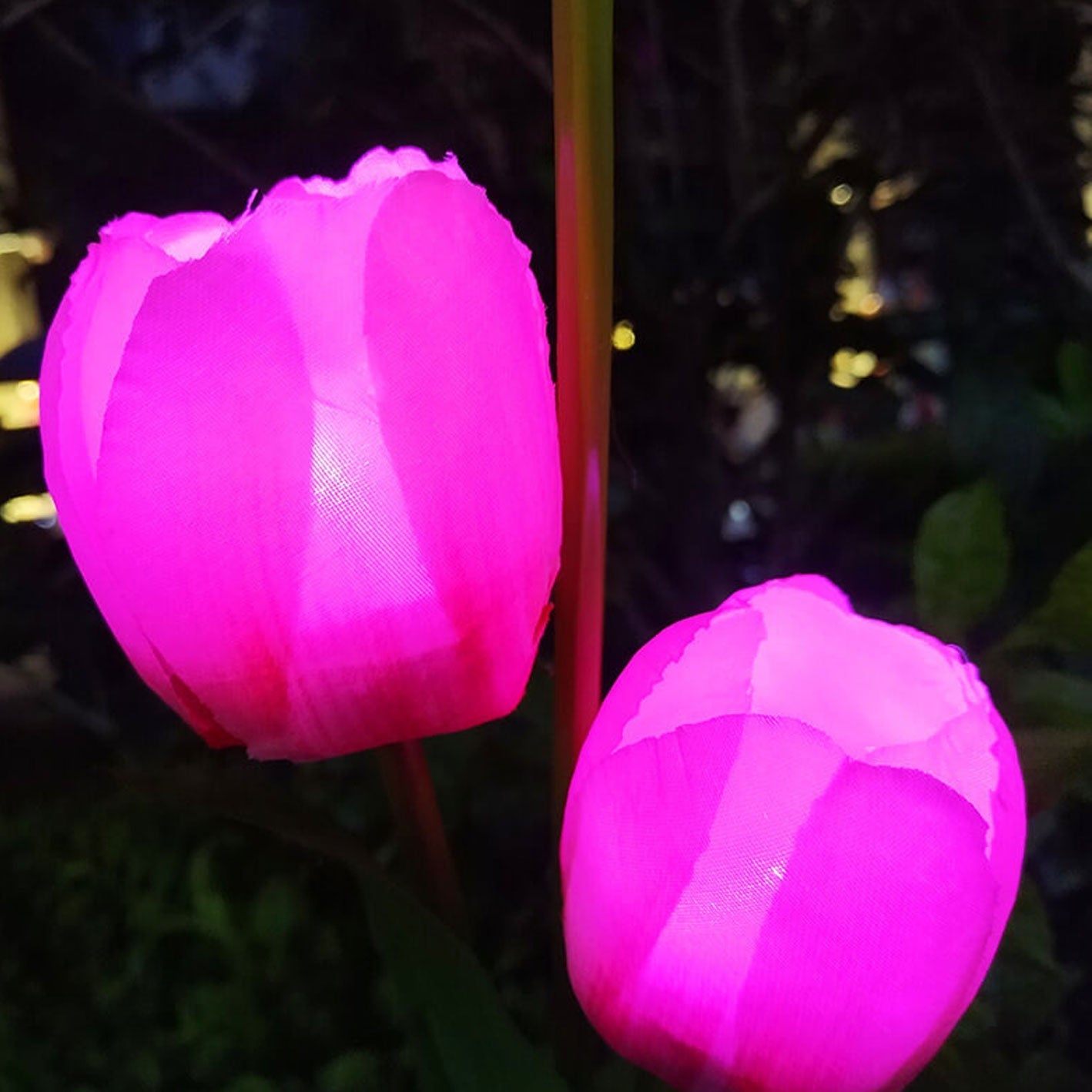 Skorter | Solar Tulip Lawn Light Outdoor Garden LED Tulip Flower Light Ground Stake Landscape Light