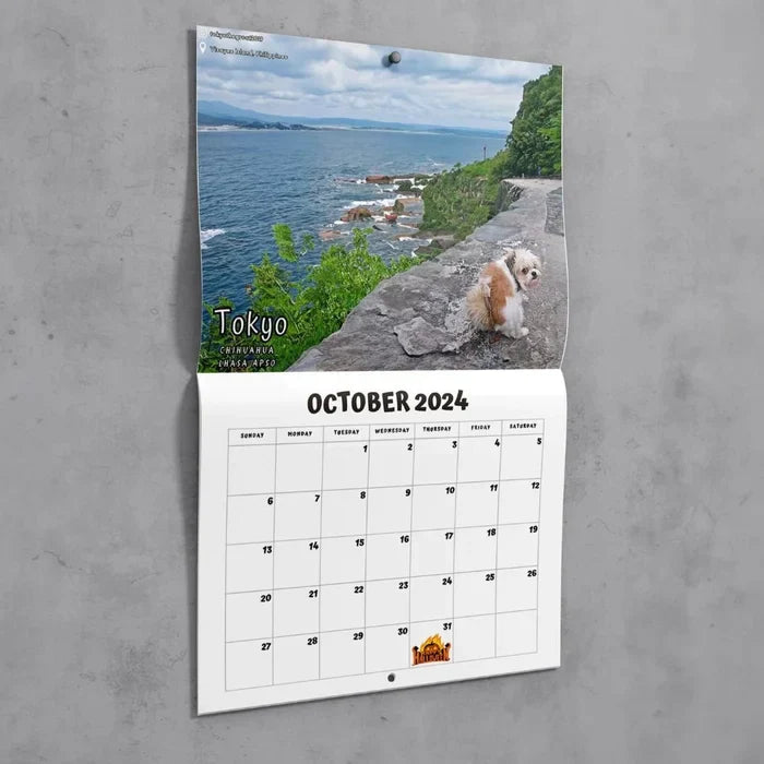 skorter | 2024 Funniest Calendar-Dogs Pooping In Beautiful Places | "Artistic Expression" Furry Friends